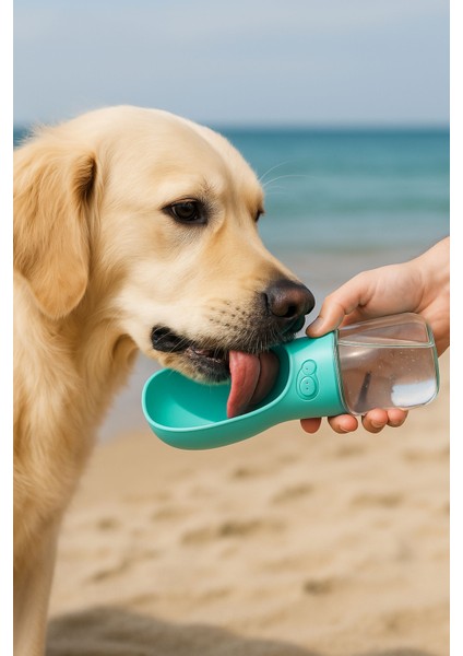 Taşınabilir Köpek Su Matarası Evcil Hayvan Su Matarası 350ML Casapetra fiyatları