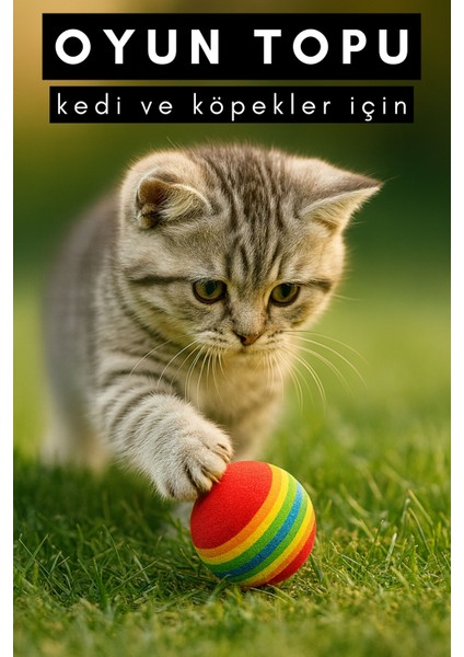 Kedi ve Köpek Oyun Topu Renkli - 2 Adet Casapetra