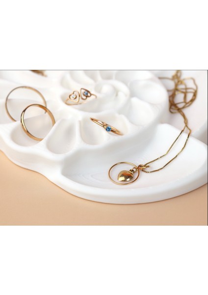 Deniz Kabuğu Tasarımlı Takı ve Aksesuar Düzenleyici | 3D Baskı Dekoratif Organizer 15X13X1,5 cm fırsatları