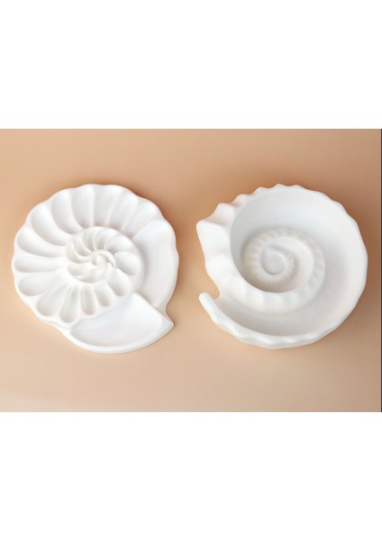 Deniz Kabuğu Tasarımlı Takı ve Aksesuar Düzenleyici | 3D Baskı Dekoratif Organizer 15X13X1,5 cm indirimleri