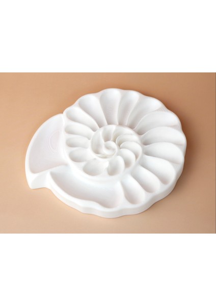 Deniz Kabuğu Tasarımlı Takı ve Aksesuar Düzenleyici | 3D Baskı Dekoratif Organizer 15X13X1,5 cm modelleri