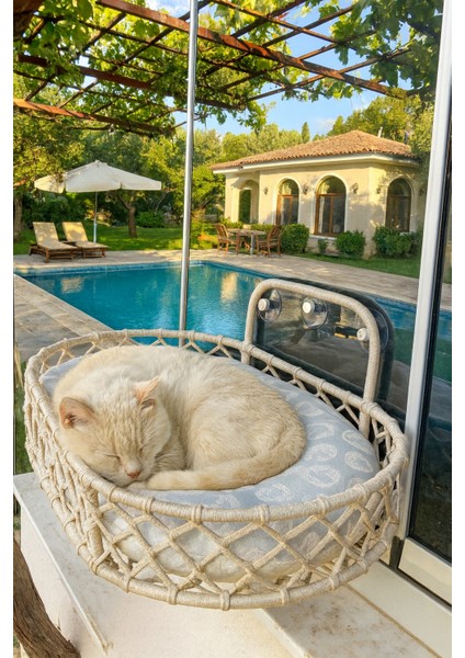 Kedi Cam Önü Hamak & Cama Asılan Kedi Yatağı