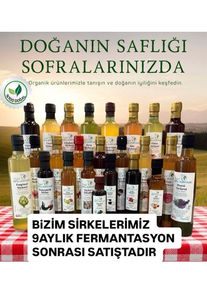 Karaciğer Sirkesi indirimleri