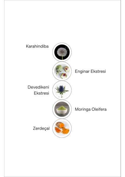 - Reset Button Karahindiba, Devedikeni, Moringa ve Zerdeçal İçeren Takviye Edici Gıda modelleri