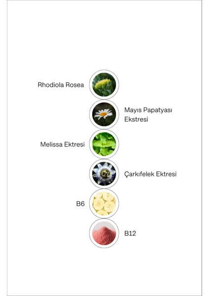 - TheChill Rodiola, Melisa, Mayıs Papatyası, Çarkıfelek, Vitamin B6 ve Vitamin B12 İçeren Takviye Edici Gıda modelleri
