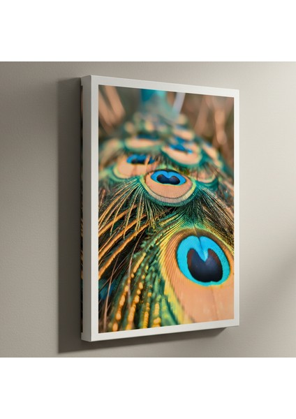 Mavinin Büyüsü Tavus Kuşu Tüyü Tablosu