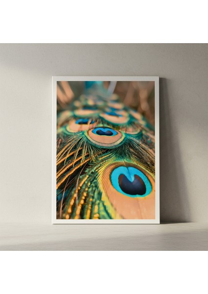 Mavinin Büyüsü Tavus Kuşu Tüyü Tablosu fiyatları