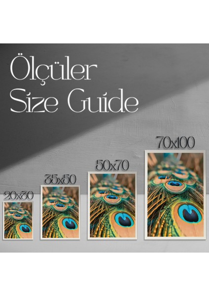 Mavinin Büyüsü Tavus Kuşu Tüyü Tablosu modelleri