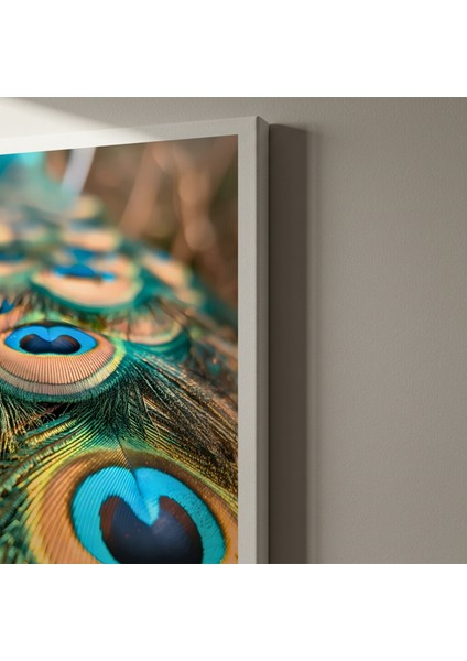 Mavinin Büyüsü Tavus Kuşu Tüyü Tablosu indirimleri