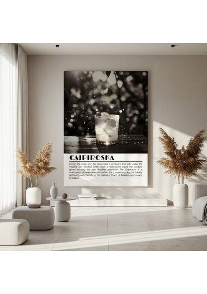 Caipiroska Kokteyli Minimalist Siyah Beyaz Tablosu fırsatları