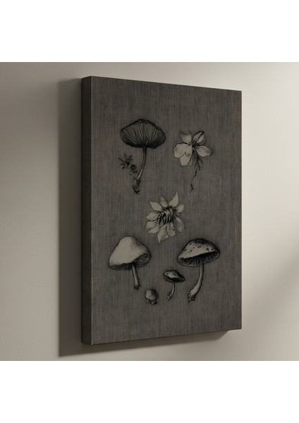 Karanlık Botanik Illüstrasyon Tablosu