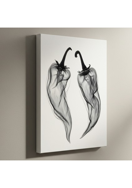 Soyut Biçimcilik Siyah Beyaz Biber Illüstrasyon Tablosu