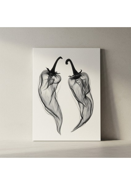 Soyut Biçimcilik Siyah Beyaz Biber Illüstrasyon Tablosu fiyatları