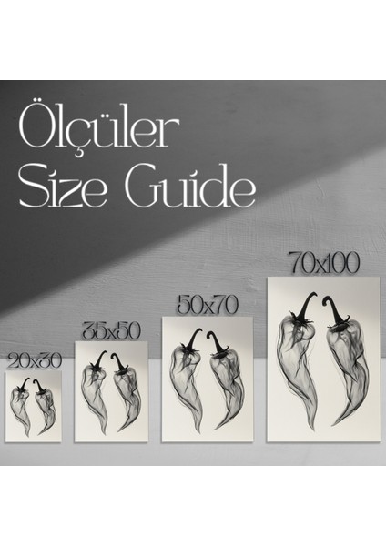 Soyut Biçimcilik Siyah Beyaz Biber Illüstrasyon Tablosu modelleri