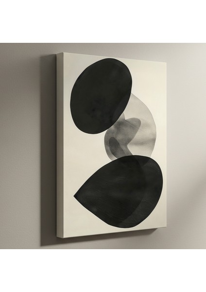 Soyut Siyah Beyaz Akışkan Formlar Tablosu