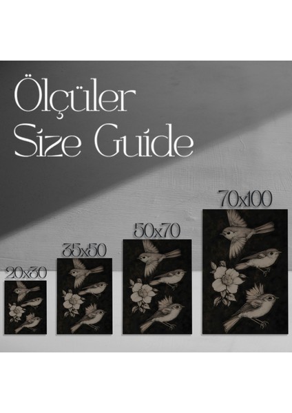 Karanlık Romantizm Kuşlar ve Gül Illüstrasyon Tablosu modelleri