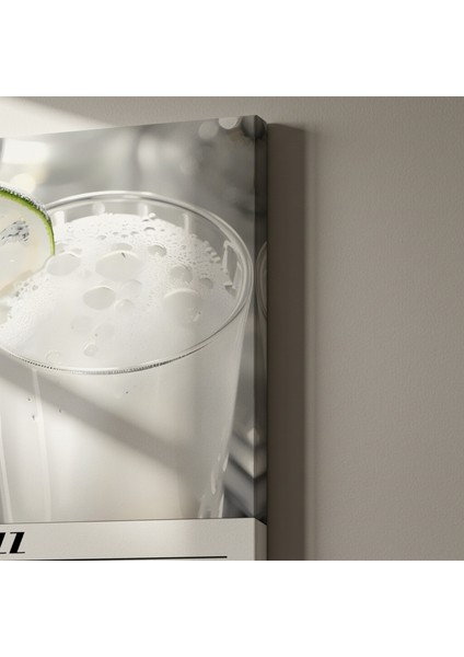 Gin Fizz Kokteyli Illüstrasyon Tablosu indirimleri