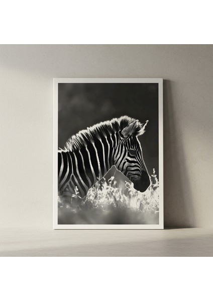 Zebra Baskısı Siyah Beyaz Hayvan Portresi Tablosu fiyatları