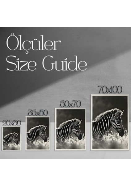 Zebra Baskısı Siyah Beyaz Hayvan Portresi Tablosu modelleri