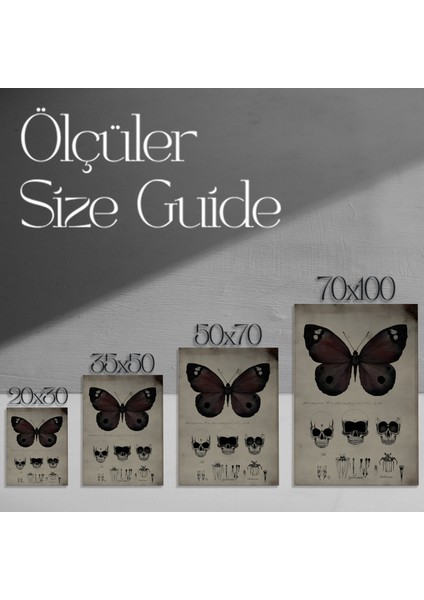 Karanlık Romantizm Kelebek ve Kafatası Tablosu modelleri