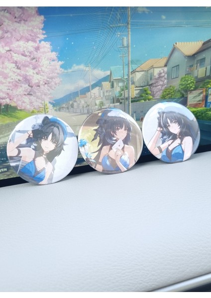 Wuthering Waves Çanta Süsü/rozet Seti