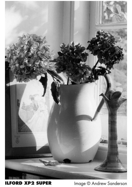 Xp2 Super 400 Analog Film fiyatları