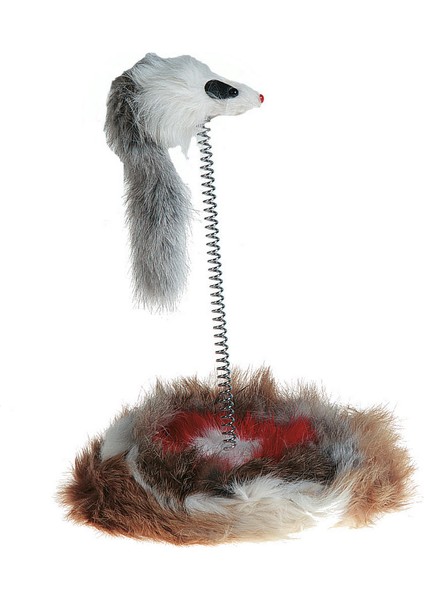 Karlıe Yaylı Fare 26X14CM Lzwdr