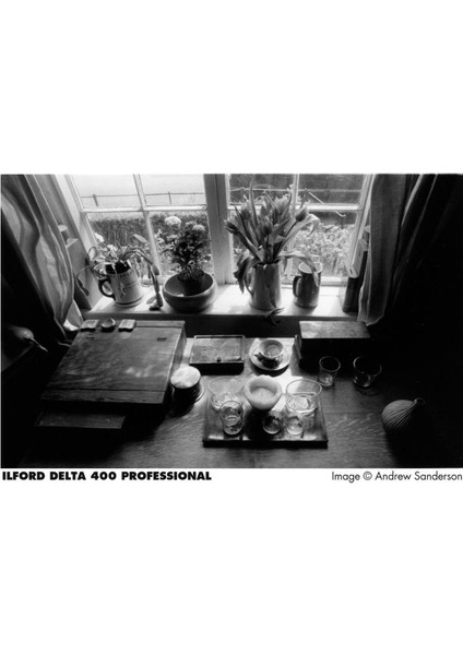 Delta 400 Analog Film 120 Roll fiyatları