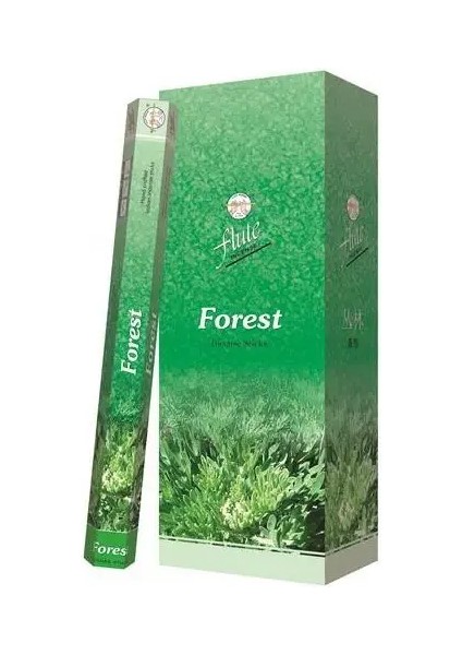 Çubuk Tütsü Forest (Orman) 20'li