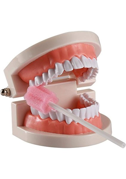 Süngerli Swab - Ağız ve Diş Bakım Çubuğu - 2 Adet 722090 modelleri