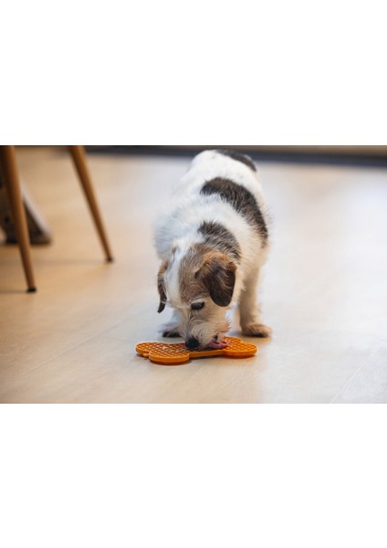 Yavru Köpek Yaş Mama Yeme Oyuncağı, Kemik Şeklinde, Silikon, Turuncu, 18X11CM Lzwdr fiyatları