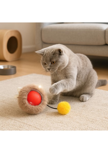 Kedi Oyuncağı USB Şarjlı Hareketli Tüylü (Zilli Pomponlu Akıllı Top) modelleri