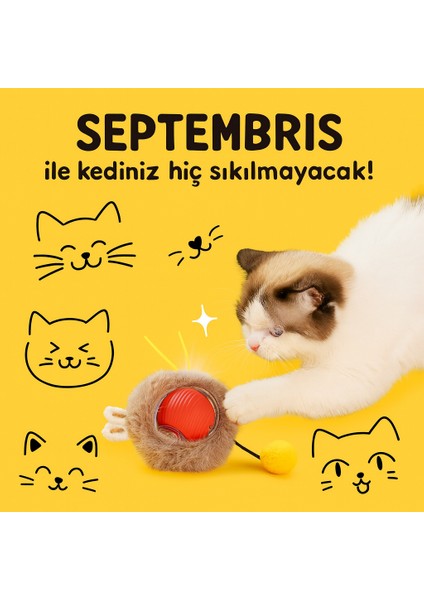 Kedi Oyuncağı USB Şarjlı Hareketli Tüylü (Zilli Pomponlu Akıllı Top) indirimleri