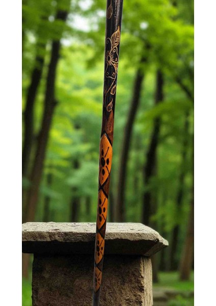 Devrek Bastonu Kızılcık Ağacı fiyatları