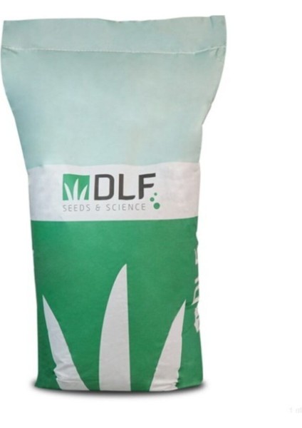 Süs Yoncası Tohumu 250GR, Bahçe ve Çiçekçilik Için Güzel Bitki Seçeneği fırsatları