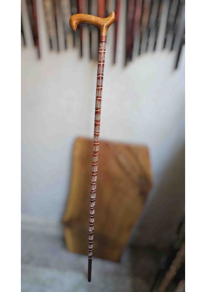 Devrek Bastonu Kızılcık Ağacı fiyatları