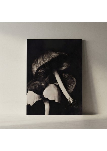 Karanlık Mantarlar Soyut Sanat Tablosu fiyatları