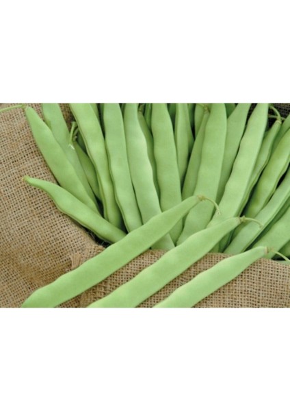 Fasulye Tohumu, 500 Gr, Kaliteli ve Taze, Bahçe ve Tarla Için Uygun fiyatları