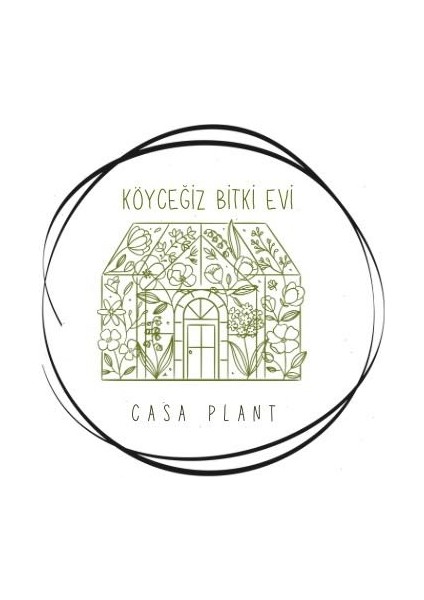 Washington Portakal Fidanı – Verimli ve Lezzetli modelleri