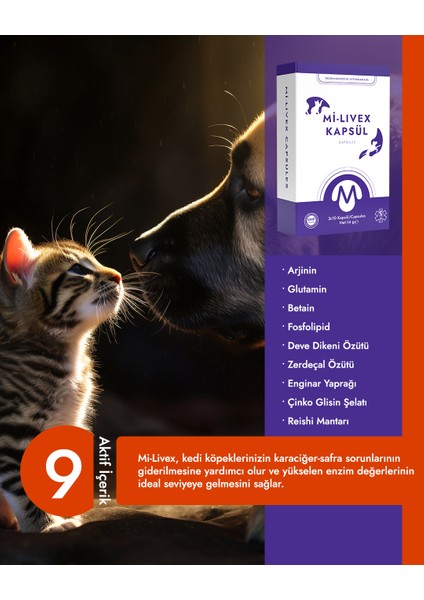 Mi-Livex Kedi Köpek Kara-Ciğer Safra Sağlığı Kapsülü fiyatları