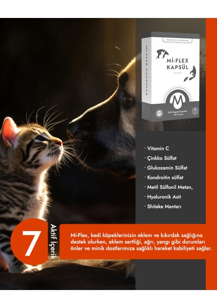 Mi-Flex Kedi Köpek Kıkırdak ve Kemik Sağlığı Kapsülü fiyatları