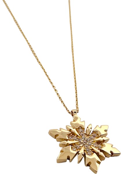 - 14 Ayar Altın Taşlı Kar Tanesi Kolye fiyatları