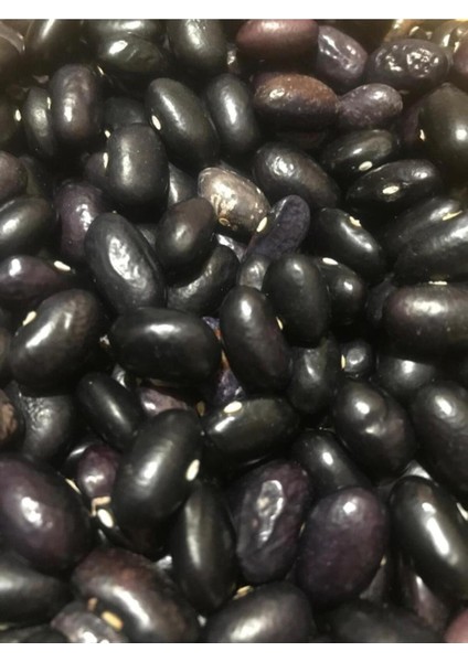 Yerli Uzun Beyaz Turşuluk Sırık Fasulye Tohumu 500 gr