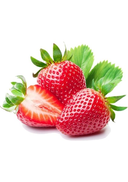 36 Adet Çilek Fidesi, Kokulu ve 1 Inç Sınıf Açık Köktür