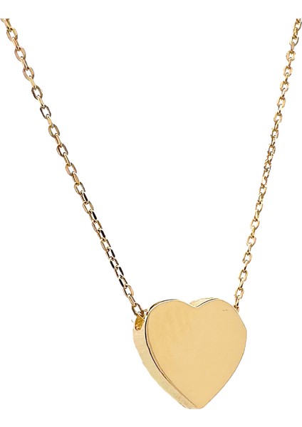 - 14 Ayar Kalpli Hayalet Zincir Altın Kolye fiyatları