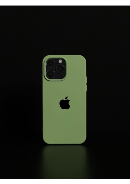 IPHONE11UYUMLU Apple Logolu Kenar Köşesi Oval Içi Kadife Lansman Kılıf