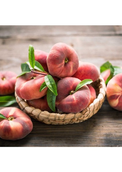 Yassı Şeftali Fidanı (Tüplü) – Sağlıklı ve Verimli Meyve Ağacı