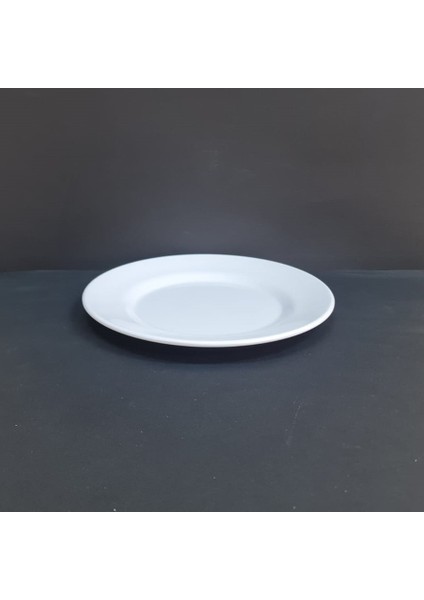 4 Adet Standart Çizgi Melamin Tatlı & Yemek Servis Tabağı 25 cm - Beyaz fiyatları
