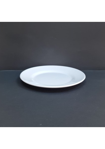 4 Adet Kırılmaz Melamin Çizgi Tatlı & Yemek Servis Tabağı 25 cm - Beyaz fiyatları
