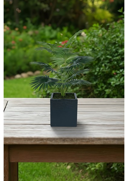 Deri Kaplamalı Metal Saksı Üzeri Yapay Bitki fırsatları